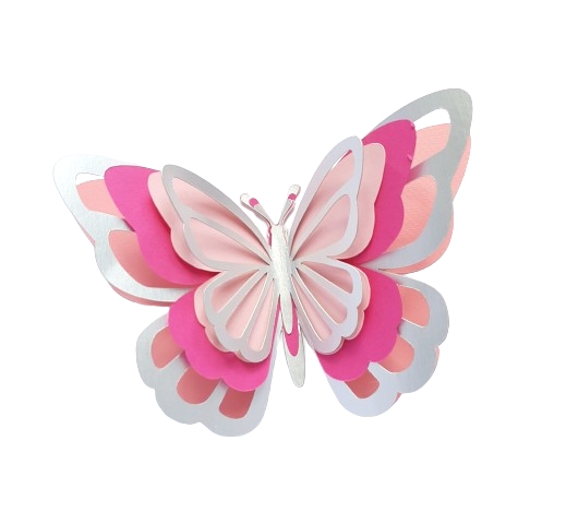 butterfly-image