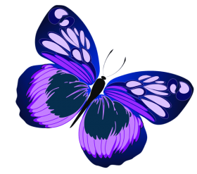 butterfly-image